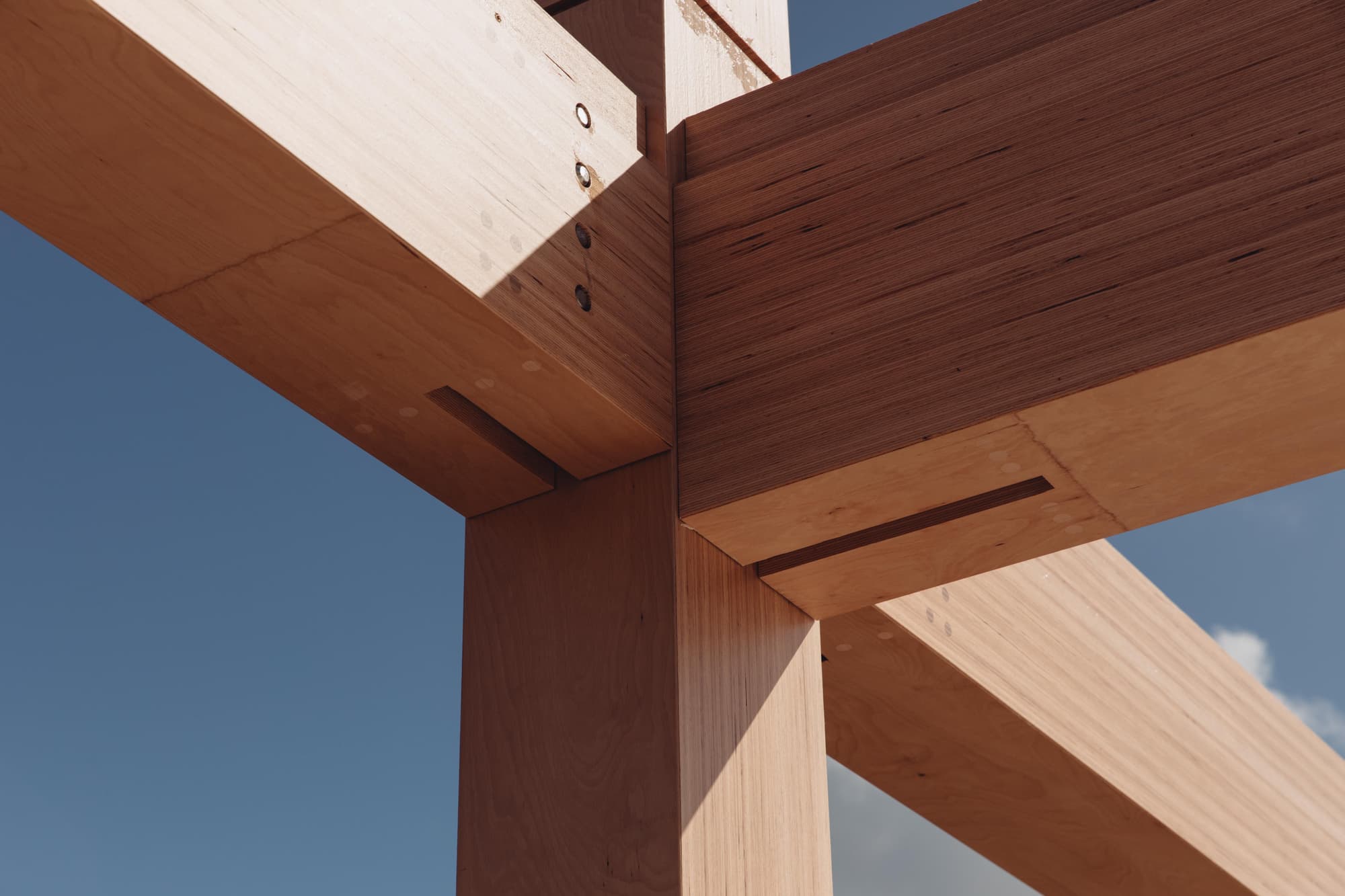 Making conscious choices